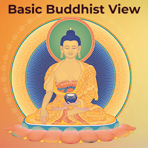 Basic Buddhist View