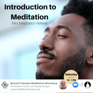 Introduction to Meditation Guided Mini-Retreat