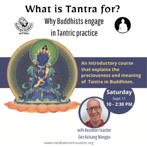 What is Tantra for? Why Buddhists Engage in Tantric practice