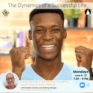 The Dynamics of a Successful Life